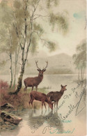 ANIMAUX & FAUNE - Cerfs - Colorisé - Carte Postale Ancienne - Sonstige & Ohne Zuordnung