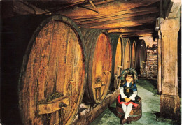 PHOTOGRAPHIE - Alsace - Cave De Viticulteur - Colorisé - Carte Postale - Photographie