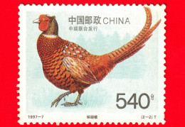 CINA - Usato - 1997 - Uccelli - Fagiano - Common Pheasant (Phasianus Colchicus) - 540 - Oblitérés