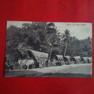 CEYLON NATIVE TRANSPORT - Sri Lanka (Ceilán)