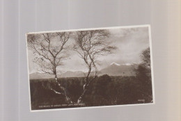 Royaume-Uni - Ecosse - The Peaks Of Arran From Lamlash Road - Ayrshire