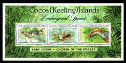 Islas Cocos (Hoja Bloque) Nº 12 - Cocos (Keeling) Islands