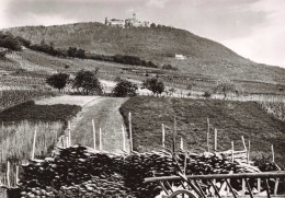 PHOTOGRAPHIE - Château Du Haut Koenigsbourg - Vue D'ensemble Au Sud - Carte Postale Ancienne - Fotografie