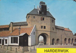 AK 169411 NETHERLANDS - Harderwijk - Harderwijk