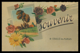 * Fantaisie - Illustration - Souvenir De CHAILLE LES MARAIS - Fleurs - Champ - Edit. ROB - Chaille Les Marais