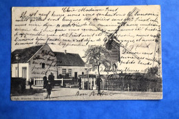 Willebroeck 1905: Le Moulin à Vent. Animée - Willebrök