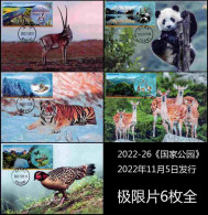 2022-26 China NATIONAL PARK FAUNA ANIMAL LOCAL MC-YSY - Tarjetas – Máxima