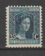 Luxemburg Y/T 101 * MH - 1914-24 Marie-Adélaida