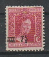 Luxemburg Y/T 113A * MH - 1914-24 Marie-Adélaida
