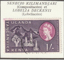 KENYA-OUGANDA-TANGANYIKA - Senecio Kilimandjari, Cactus, Mont Kenya - 1960 - Oblitérés - Kenya, Uganda & Tanganyika