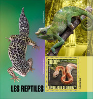 Djibouti 2023, Animals, Reptiles, Iguana, Snake, BF - Serpents