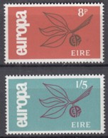 IRLAND 176-177, Postfrisch **, Europa CEPT 1965, Zweig Mit Frucht - 1965