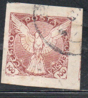 CZECHOSLOVAKIA CESKA CECOSLOVACCHIA 1918 1920 IMPERF. NEWSPAPER STAMPS WINDHOVER 100h USED USATO OBLITERE' - Zeitungsmarken