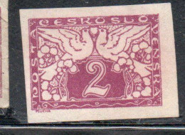 CZECHOSLOVAKIA CESKA CECOSLOVACCHIA 1919 1920 SPECIAL DELIVERY STAMPS DOVES 2h MH - Dagbladzegels