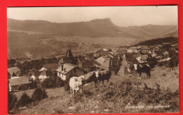 ZXC-03 RARE Ballaigues Vaches Au Premier Plan. Sepia. Circulé 192s4. Deriaz 355 - Ballaigues