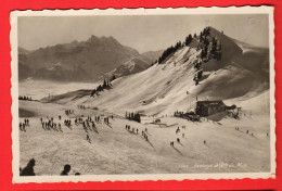 ZXC-16  Pistes De Ski à Bretaye Près Villars Sur Ollon. Dent Du Midi Circulé 1936 . Phototypie 35 45  - Ollon