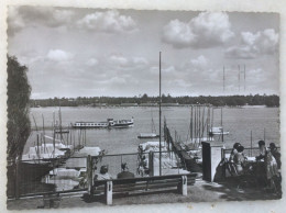 CPSM BERLIN (Allemagne) Blick Von Heckeshorn Auf Strandbad Wannsee - Wannsee