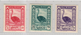 Somalia 1950, Bird, Birds, Ostrich, MNH**, Good Condition - Autruches