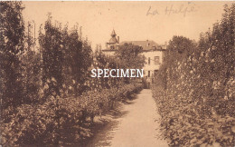 Ecole Provinciale De Viticulture Et D'Arboriculture Fruitière - Allée Centrale Du Jardin - La Hulpe - La Hulpe