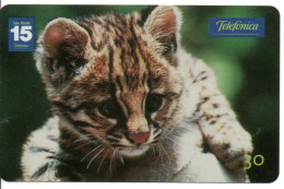 Léopard Chat Cat Katze Télécarte Brésil Phonecard ( 1136) - Brésil