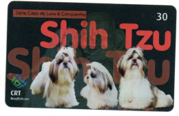Chien Dog Télécarte Brésil Phonecard ( 1140) - Brésil