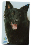 Berger Belge Chien Dog Télécarte Brésil Phonecard ( 1142) - Brésil