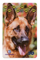 Berger Allemand Chien Dog Télécarte Brésil Phonecard ( 1143) - Brésil