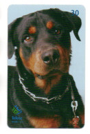 Chien Dog Rottweiler Télécarte Brésil Phonecard ( 1144) - Brésil