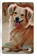 Chien Dog  Télécarte Brésil Phonecard ( 1145) - Brésil