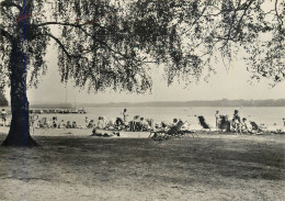 Germany Bad Saarow-Pieskow Im Freibad - Bad Saarow