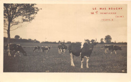 01-DOMPIERRE- LE MAS BOUCHY - CARTE PHOTO - Unclassified