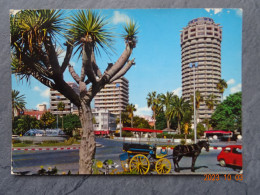 VISTA PARCIAL DEL PARQUE DE STA. CATALINE - La Palma