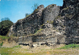 59 - Bavay -Site Archéologique - Le Mur Sud Et L'Enceinte Antique - Bavay