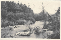 DAVERDISSE - Les Bords De La Lesse - N'a Pas Circulé - Edit. Hôtel Du Moulin - Daverdisse