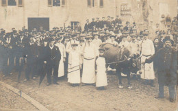 83 - Barjols - Fête Des Tripettes De St. Marcel - Arrivée Du Bœuf - Barjols