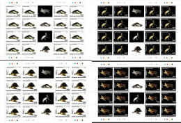 CENTRAL AFRICAN REP. 2017 Mi 7380-7383 NATIONAL GEOGRAPHIC TURTLES MINT FULL SHEETS ** VALUE €256 - Centrafricaine (République)