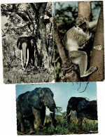 Lot 3 Cpsm " Faune Africaine" éléphants, Singe - Circulés Avec Timbre Du Cameroun Et Pas Circulé (manque Coin Inf Droit) - Verzamelingen & Kavels