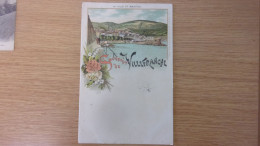 06 PRECURSEUR VOYAGEE 1896 SOUVENIR DE VILLEFRANCHE VILLE ET BASTION EDIT CHARLES GLAUGO - Villefranche-sur-Mer