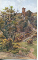 A R QUINTON - SALMON 1529 - LEITH HILL TOWER - Quinton, AR