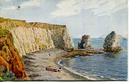 A R QUINTON - SALMON 1643 - THE CLIFFS, FRESHWATER BAY, ISLE OF WIGHT - Quinton, AR