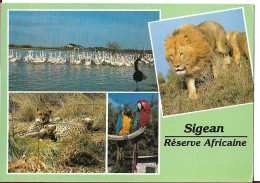 CPSM SUR LA RESERVE AFRICAINE DE SIGEAN - Sigean