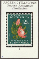 AFRIQUE DU SUD - Fleurs, Flowers, Protée Artichaut - 1961 - MNH - Neufs