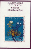 AFRIQUE DU SUD - Arbre, Baobab - Y&T N° 254 - 1961 - Oblitéré - Oblitérés