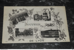 A732   Souvenir De Lyon - Other & Unclassified