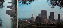 Los Angeles - The Magnificent Skyline - Los Angeles
