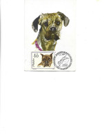 Poland - Maxicard,maximum Postcard 1967  -  Dogs -   Boxer - Maximum Cards