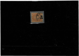 ITALIA REGNO ,"Segnatasse",10c. Bruno Arancio ,usato ,qualita Ottima - Postage Due