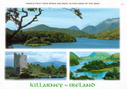 1 AK Irland / Ireland * Landschaften Im Nationalpark Killarney - County Kerry * - Kerry