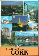 1 AK Irland / Ireland * Ansichten Der Grafschaft Cork * - Cork