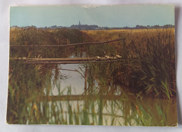 Saint MICHEL En L'HERM . 85 . Marais Avec Passerelle . Coin De Campagne A Reconnaitre En 1976 - Saint Michel En L'Herm